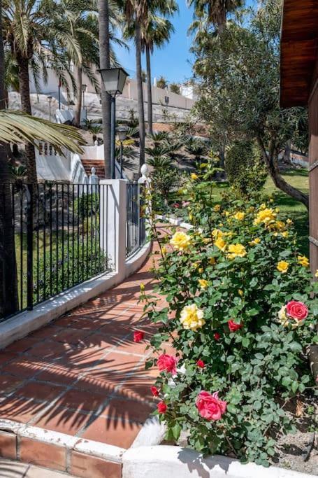 Oasis 16 Leilighet Nerja Eksteriør bilde